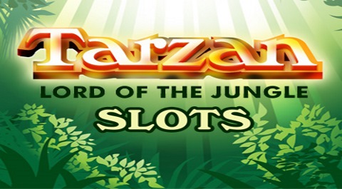 Microgaming Casino bonus