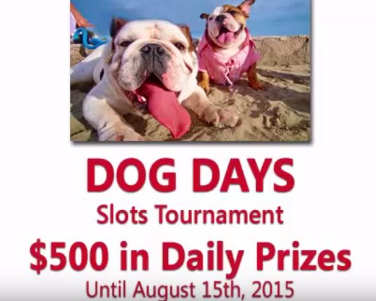 $100 Tournament at Liberty Slots Casino