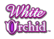 White-Orchid SLOT