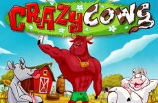 crazy-cows-slot