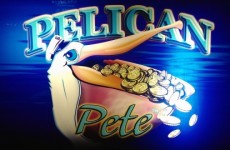 Pelican-Pete-Slot
