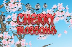 Cherry Blossoms slot