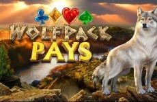 wolfpack-pays-slot-nextgen