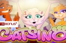 catsino-slots-rival