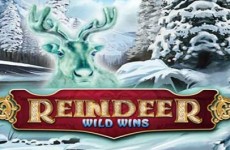 reindeer-wild-wins-slot