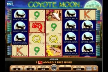 coyote-moon-slot