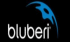 Bluberi Gaming payment method