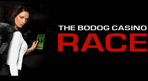 bodog