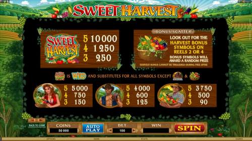 sweet-harvest-screenshot5