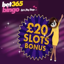 bet365-bingo