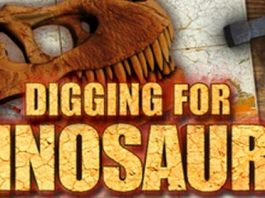 Digging-for-Dinosaurs-Slot