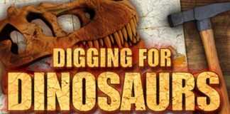Digging-for-Dinosaurs-Slot