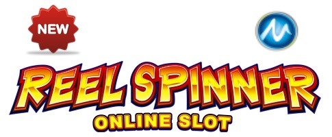 reel-spinner-slot-microgaming