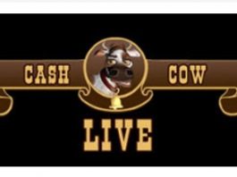 cash cow slot