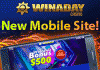 winaday mobile bonus